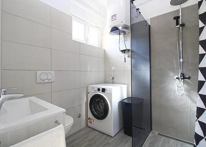 Apartment Dragomir 1052